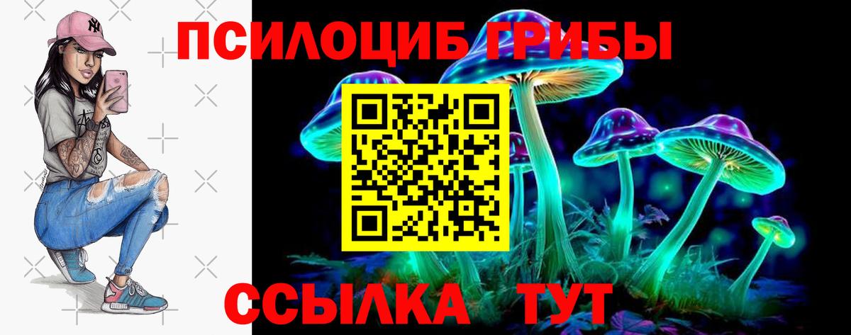 Галлюциногенные грибы Cubensis  Галлюциногенные грибы ЛСД  Вход с VPN  Красный Сулин 